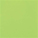 COLOURFUL DAYS COLOURBOARD 160GSM A4 LIME GREEN PACK 100