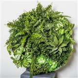 PLANT IMAGE VERTICAL WALL GARDEN ROUND MEDIUM