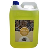 CULTURAL CHOICE GILIIAN DISHWASHING DETERGENT 5LITRE LEMON